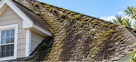 Roof cleaning in Ann Arbor, Michigan